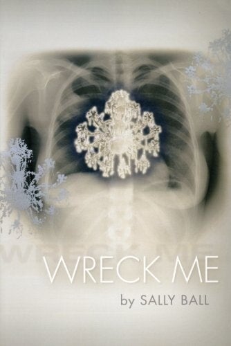 Cover of Wreck Me