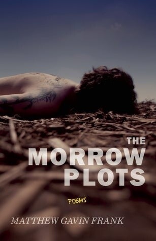 Cover of The Morrow Plots