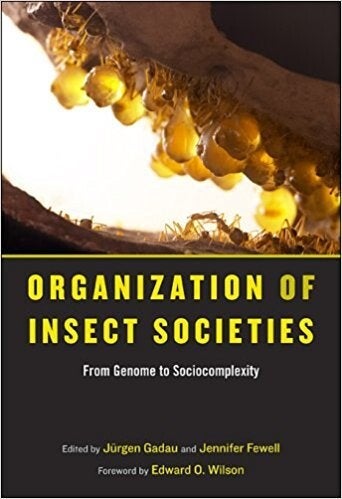 Cover of "Organization of Insect Societies" featuring ants and larvae