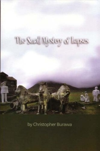 Cover of "The Small Mystery of Lapses"