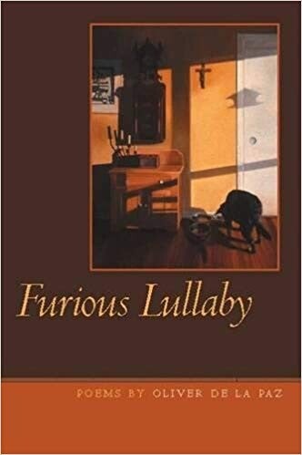 Cover of "Furious Lullaby" featuring an illustration of a room with a dog in it