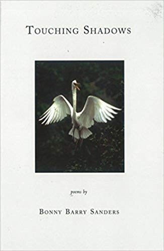 Cover of "Touching Shadows" featuring a white background with an image of a flying swan